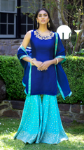 Rani Royal Blue and Sky Blue Gharara